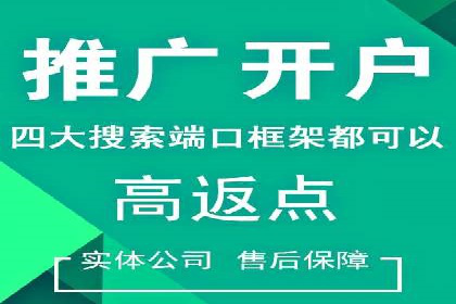 SEM广告投放案例：打造品牌影响力
